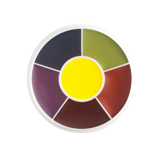 Ben Nye Master Bruise Wheel 6 colour palette Ben Nye Master Bruise Wheel 6 colour palette