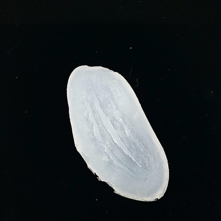 SILICONE MOULD- ANIMAL SCRATCH SILICONE MOULD- ANIMAL SCRATCH