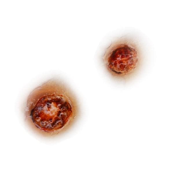 SILICONE MOULD- BULLET HOLES SILICONE MOULD- BULLET HOLES