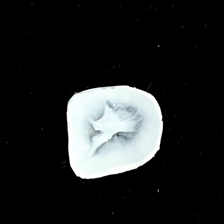 SILICONE MOULD- EXIT BULLET WOUND SILICONE MOULD- EXIT BULLET WOUND