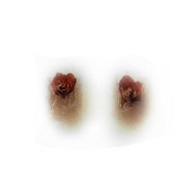 SILICONE MOULD- VAMPIRE BITE SILICONE MOULD- VAMPIRE BITE