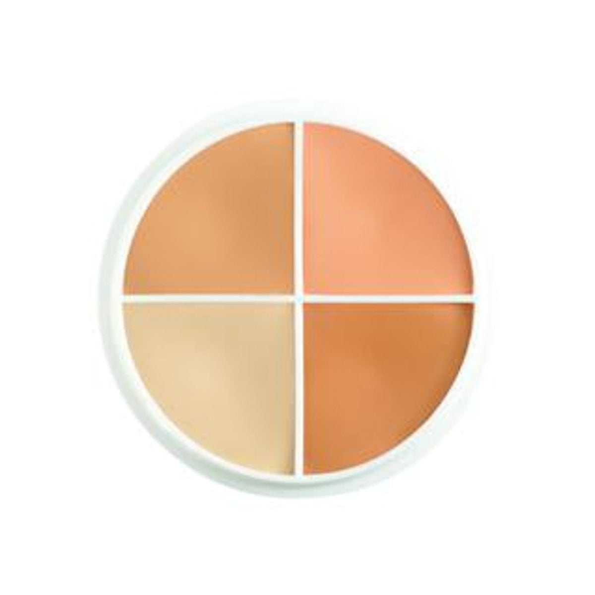Special 4 Colour Wheel - Conceal All
