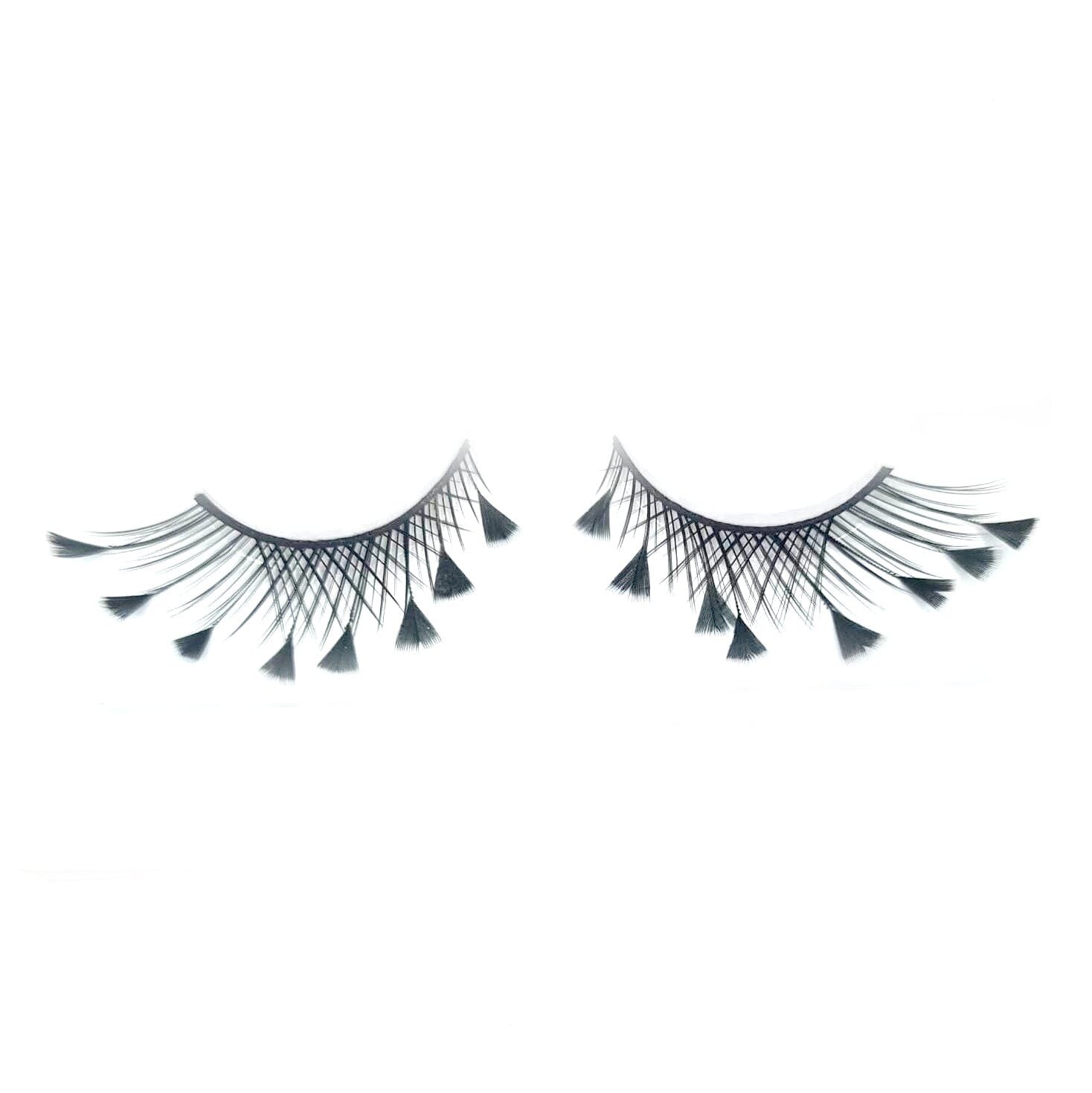 Black Lashes With Feather Tip